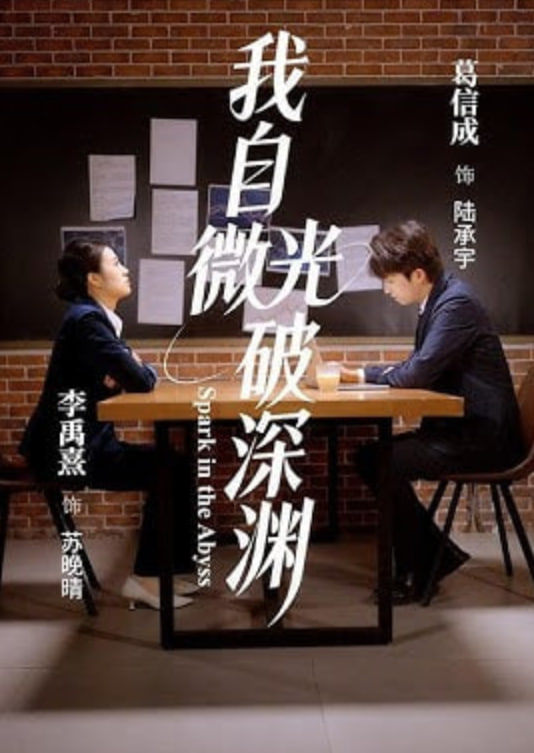 第二十条